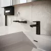 hansgrohe_vernis_blend_matt_black